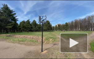 В Пискаревском парке появился памятник самоизоляции