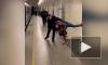 "Человек-паук" сразился с сотрудниками метро на станции "Технологический институт"