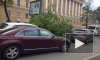 Падающие от ветра деревья раздавили 7 машин и человека в Санкт-Петербурге 