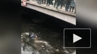 Лейтенант туристической полиции рассказал, как спасал петербуржца, упавшего в канал