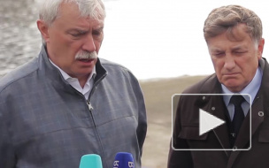 СМИ сообщили о возможной отставке Полтавченко после президентских выборов