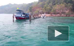 Таец-трансгендер убил любовника из России в Таиланде