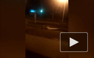 Вода бьет фонтаном на углу Народного Ополчения