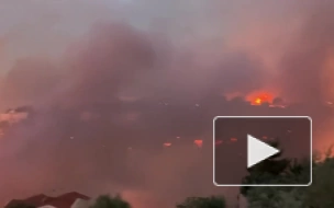 На севере Аттики вспыхнул сильный лесной пожар