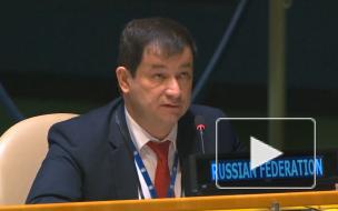 Полянский раскритиковал заявление Германии о "нарушении" прав человека в Крыму