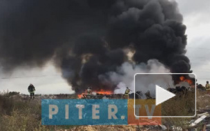 Видео: на проспекте Большевиков загорелась огромная куча мусора 