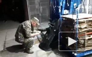 Задержание устроившего стрельбу в Екатеринбурге мужчины попало на видео