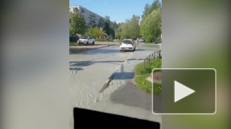 Петербуржцы сняли на видео потоп на Богатырском проспекте