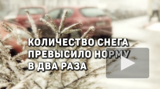 В январе количество снега в Петербурге превысило норму почти в два раза