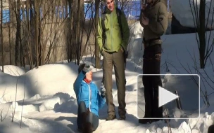 Роупджампинг. Открытие сезона