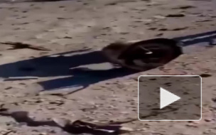Появилось видео с места падения МиГ-23 под Дамаском