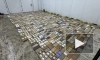 В Петербурге в контейнере с кофе нашли партию кокаина на 13 млрд рублей