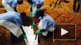 В Сьерра-Леоне сотрудник Всемирной организации здравоохранения заболел лихорадкой Эбола