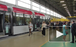 Дыхание Петербурга: примечательные события недели