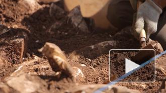 В Мексике закрыли для туристов пещеру, где жили древнейшие жители Америки