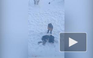 В Пермском крае проверят видео, где двое подростков избивают сверстника