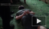 Опубликовано видео задержания террористической ячейки в Норильске