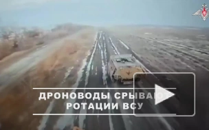 FPV-дроны ВС РФ сорвали ротацию сил ВСУ на александро-калиновском направлении