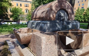 Собака превратила петербургский фонтан в свой личный бассейн