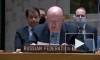 Небензя: РФ считает провокацией дезинформацию в СБ ООН об операции на Украине