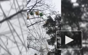 Кабинка колеса обозрения в Зеленогорске опасно раскачалась 