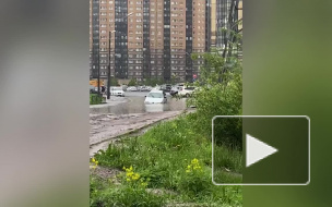 Иномарка утонула в гигантской луже на Парнасе