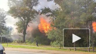 Видео: во Всеволожске горит заброшенный дом