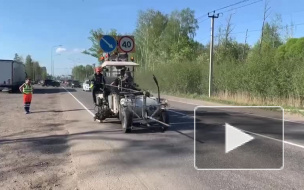 Дорожники обновили разметку в четырех районах Ленобласти 