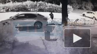 Полицейские задержали подозреваемого в грабеже в Альпийском переулке