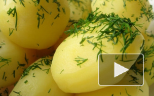 Прокуратура Василеостровского района Петербурга заступилась за сирот