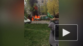 Видео: на Звездной пожарные потушили фургон Ford