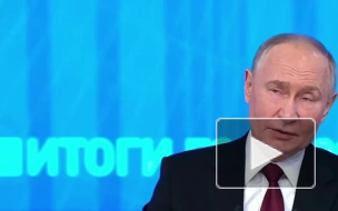 Путин назвал экологической катастрофой разлив мазута на черноморском побережье: мнение экспертов