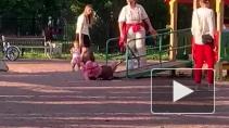 Неизвестная женщина избила 11-летнюю девочку на детской площадке на Подвойского