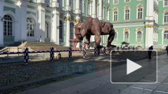 Во дворе Эрмитажа установили гигантскую статую
