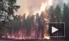 На окраине Югорска загорелся лес