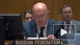 Небензя: Россия не использует ядерные объекты на Украине...