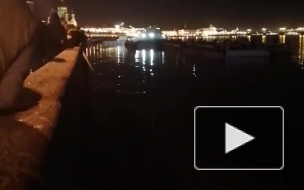 Возле Горного института автомобиль угодил в Неву