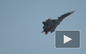 Минобороны РФ прокомментировало сообщения о поражении Су-24 в Сирии