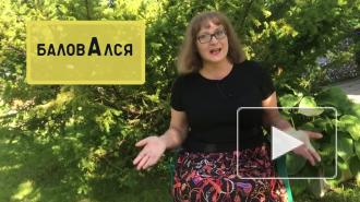 Учительница русского языка указала на ошибки в речи Ивана Урганта