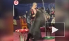 В Кузбассе медведь атаковал дрессировщика во время циркового шоу