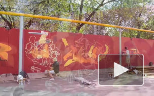 Новое граффити от HoodGraff появилось в Петроградском районе - скейтбордист Тони Хоук