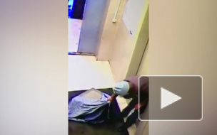 Появилось видео кражи обольстительной узбечкой сейфа с тремя миллионами 