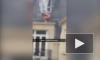 Пикантное видео из Франции: герой-любовник скрывается голым на карнизе