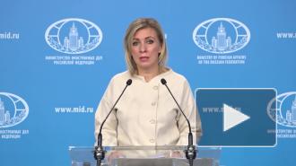 Захарова назвала неподобающим поведение спецдокладчиков ООН по делу Навального