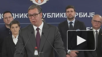 Вучич поручил МВД Сербии провести "разоружение страны"