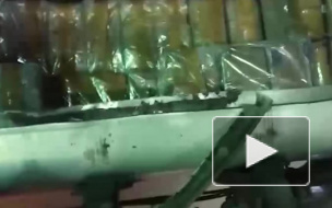 Псковские таможенники обнаружили 450 кг гашиша в топливном баке грузовика