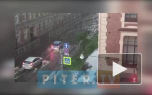 В Комитете по благоустройству подсчитали потери после мощной грозы