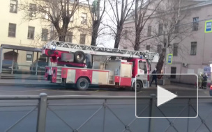 На Расстанной улице на жилой дом упало дерево 