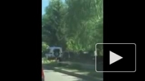 Новые подробности побоища на Хованском кладбище: жертвы, пострадавшие, задержанные