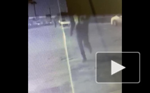 В Ленобласти задержали беглецов, подозреваемых в автомобильном мошенничестве